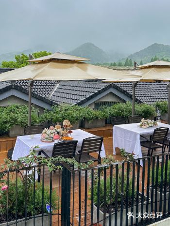 杭州春游记！！一场春雨就到了真江南…