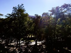 -辽宁大学(崇山校区)