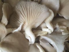 蘑菇-刁四藤椒麻辣烫(良村开发区店)