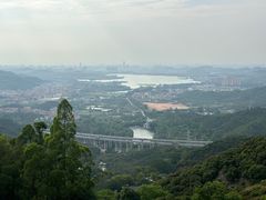 -东莞市大岭山森林公园