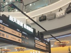 -野人先生Gelato(上海长宁龙之梦店)