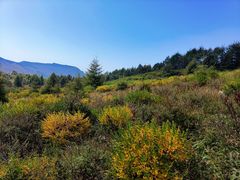 -白草畔自然风景区