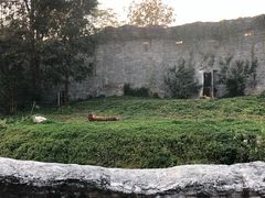 -清迈夜间动物园