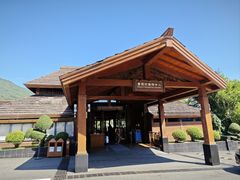 -三亚亚龙湾人间天堂鸟巢度假村