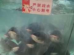 -聚鑫阁江浙菜·非遗传承技艺(青村帝华园店)