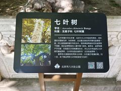 -八大处公园