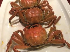 盘锦河蟹-小时候2013(瀚新店)