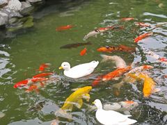 -扬州瘦西湖温泉