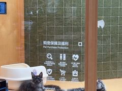 -帕帕拉兹宠物(亚洲旗舰店)