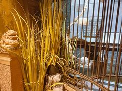 -川旺角川粤融合菜•海景餐厅(星海广场店)