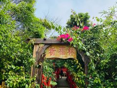 -海南铜鼓岭景区