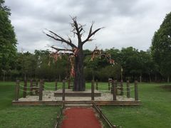 -梁鸿国家湿地公园