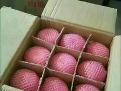 -西安国际创新人才交流中心•药浴温泉