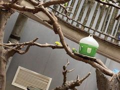 -正佳雨林生态植物园