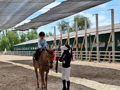 -北京群众马术培训基地