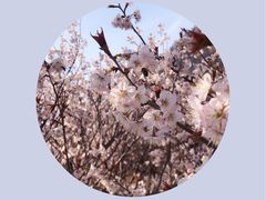 -崂山九水游览区
