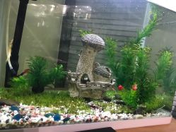 -荟草堂专业痘肌皮肤管理