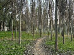 -东郊湿地公园
