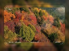 -香山公园