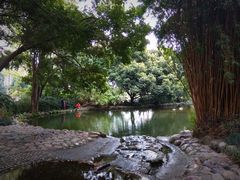 -成都市活水公园