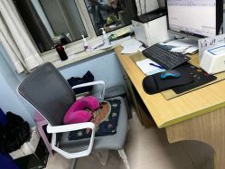 -首都儿科研究所附属儿童医院