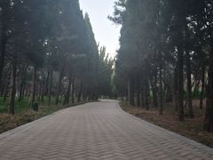 -金沙滩海水浴场(万平口景区4号门扬帆广场店)