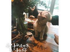 -咖法森林·咖啡  酒吧(天河店)