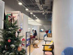 -天真蓝照相馆(宁波来福士店)