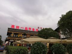 -高坎一品甲鱼庄(两河店)