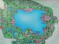 -莲花池公园
