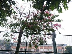 -华南理工大学五山校区-运动场