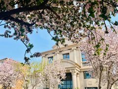 -天津五大道文化旅游区