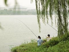 -羊山湖公园