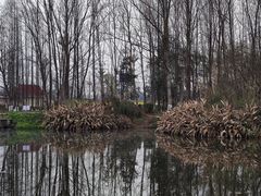 -桤木河湿地公园