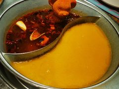-青瓷火锅料理(西单大悦城店)