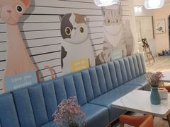 -Tomado绿色烘焙(大尧三路店)