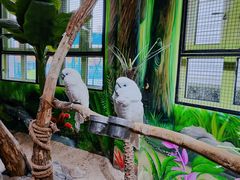 -海合安武汉极地海洋公园