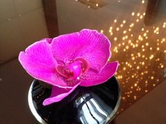 iphone_upload_pic-北京国贸大酒店