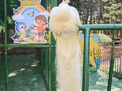 -汕头蓝水星欢乐世界