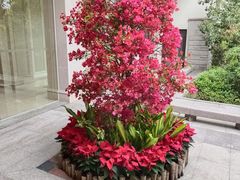 -福建鲤鱼洲酒店