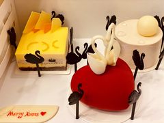 -BLACKSWAN黑天鹅(环球店)