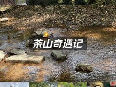 -杭州少年儿童公园