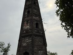 -上海佘山国家森林公园天马山园