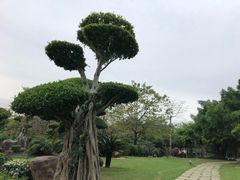 -南宁南湖公园