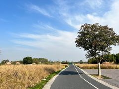 -良渚古城遗址公园
