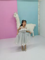 -星宝贝儿童摄影