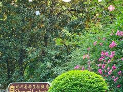 -杭州香格里拉·香宫中餐厅