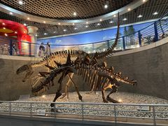 -国家自然博物馆