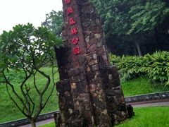 门面-王借岗森林公园