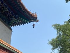 -颐和园